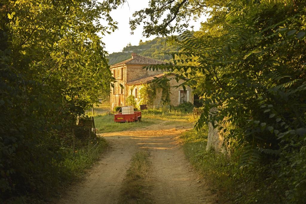 Agriturismo Cardito Santa Rufina 外观 照片
