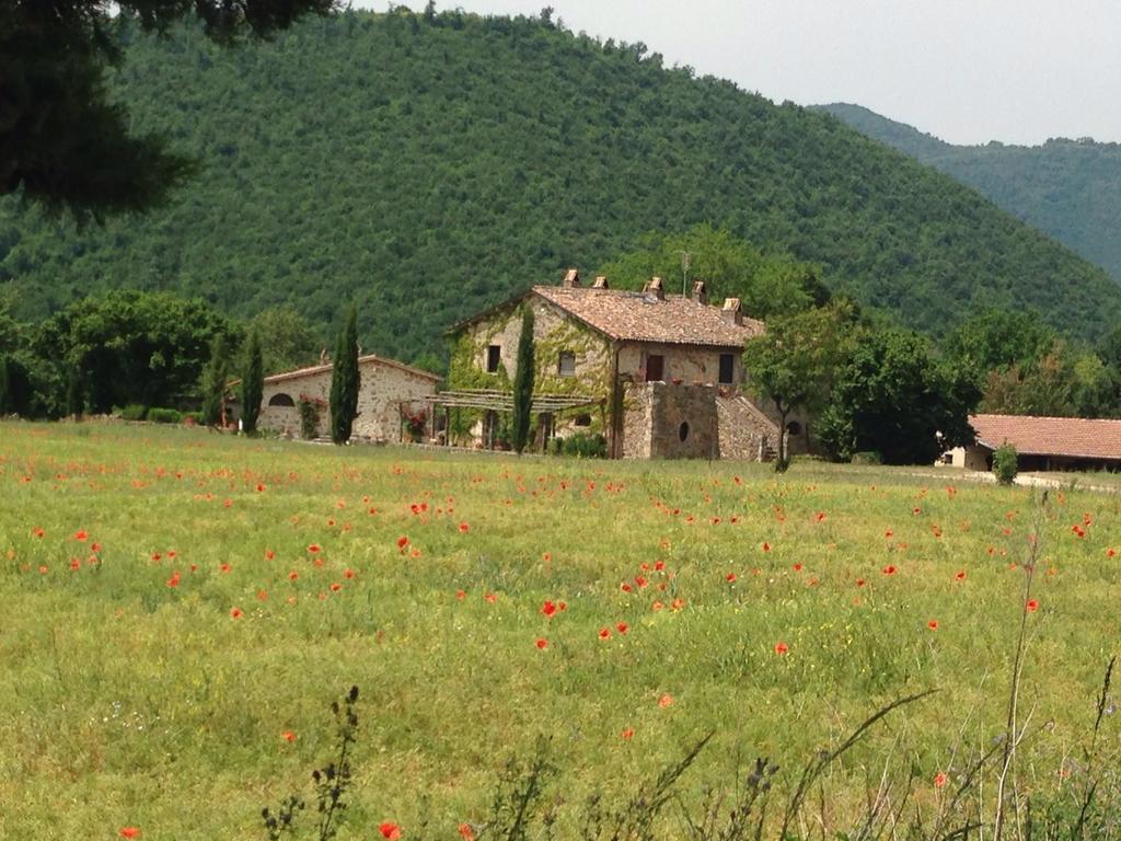 Agriturismo Cardito Santa Rufina 外观 照片
