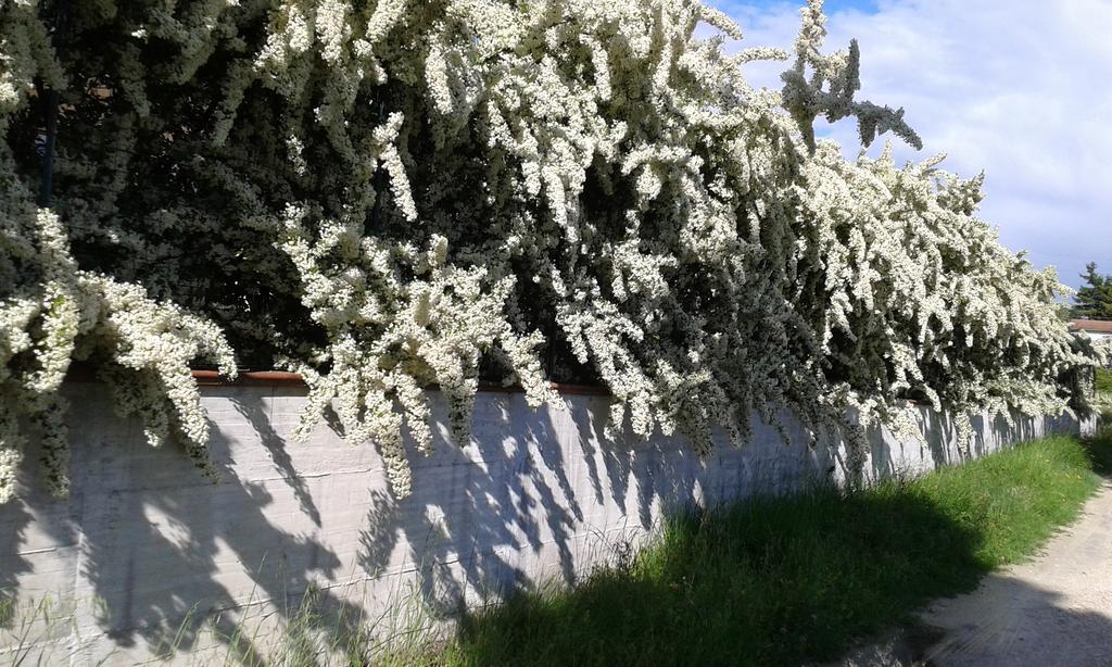Agriturismo Cardito Santa Rufina 外观 照片