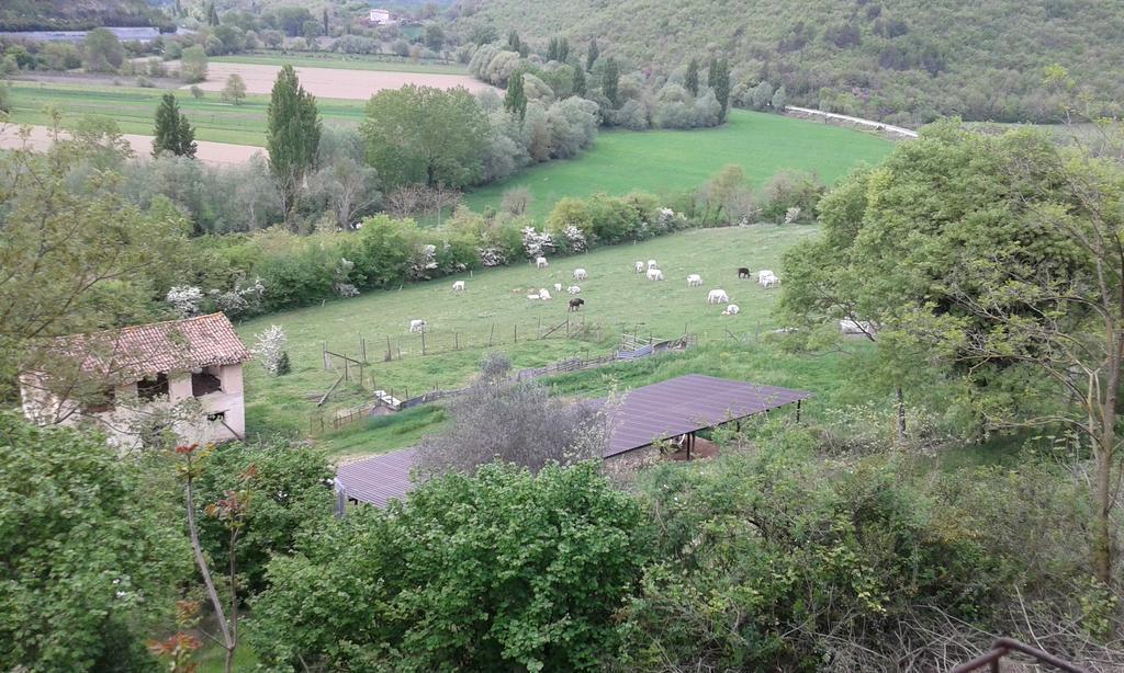 Agriturismo Cardito Santa Rufina 外观 照片