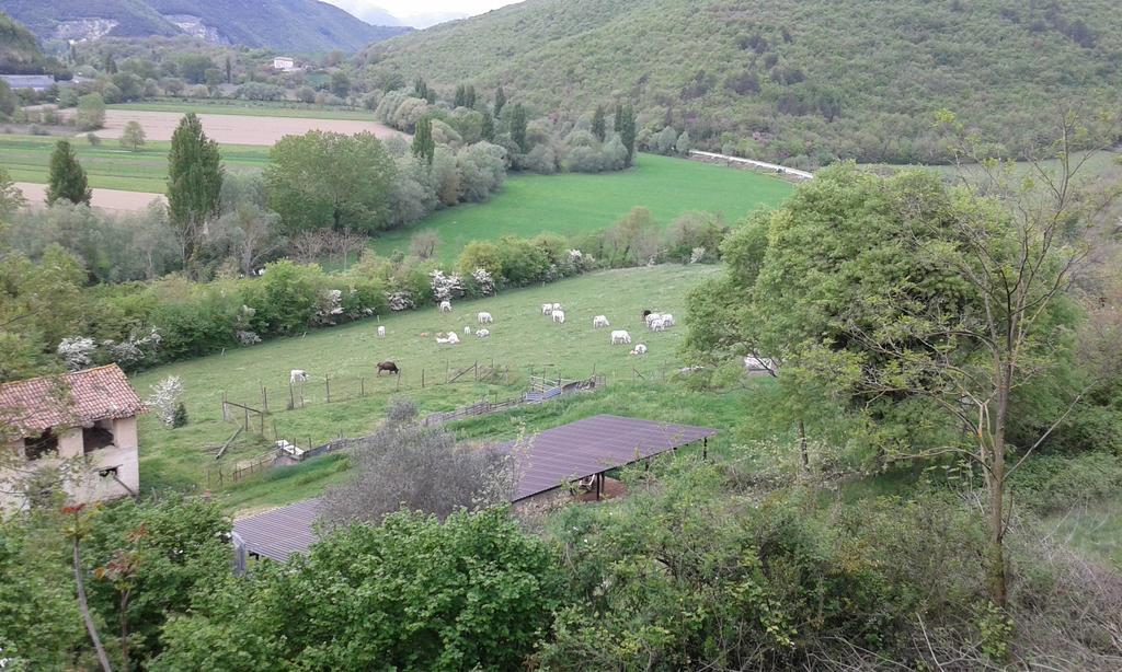Agriturismo Cardito Santa Rufina 外观 照片