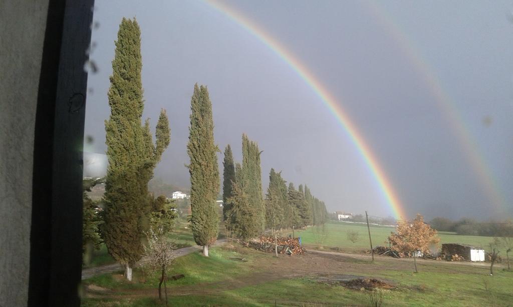 Agriturismo Cardito Santa Rufina 外观 照片