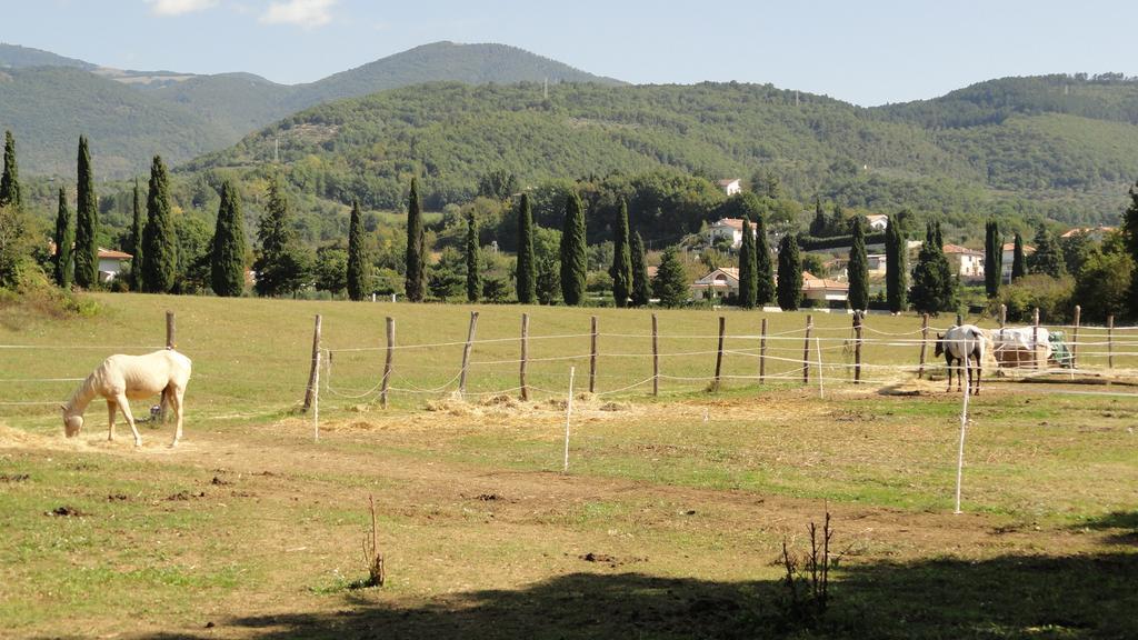 Agriturismo Cardito Santa Rufina 外观 照片