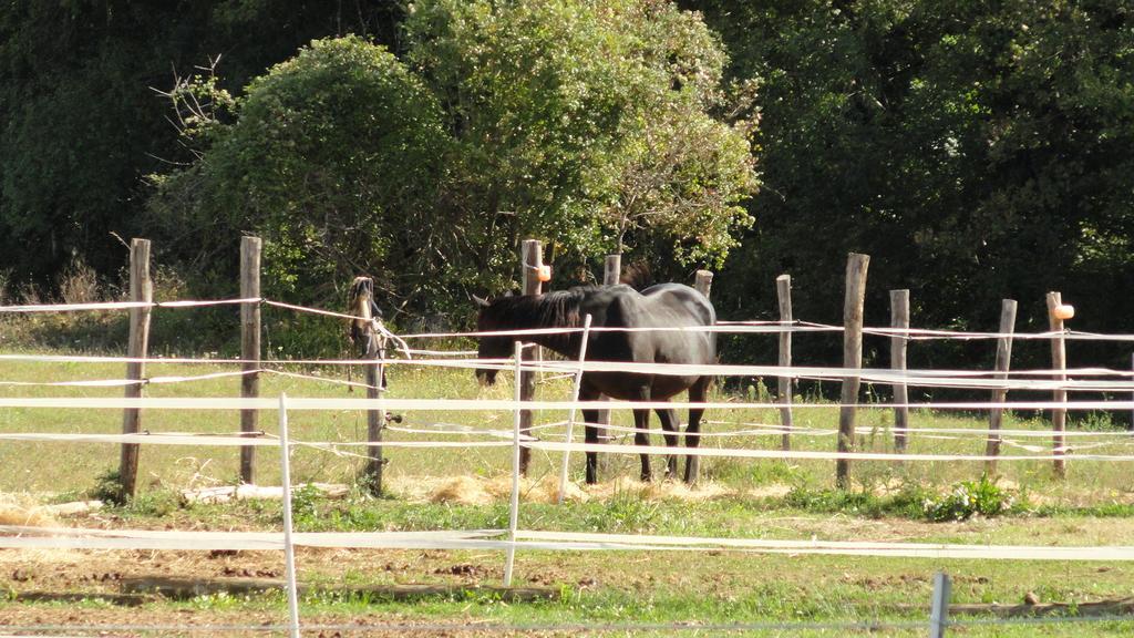 Agriturismo Cardito Santa Rufina 外观 照片