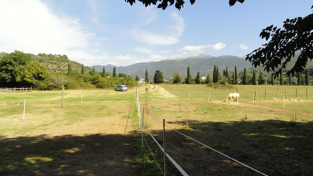 Agriturismo Cardito Santa Rufina 外观 照片