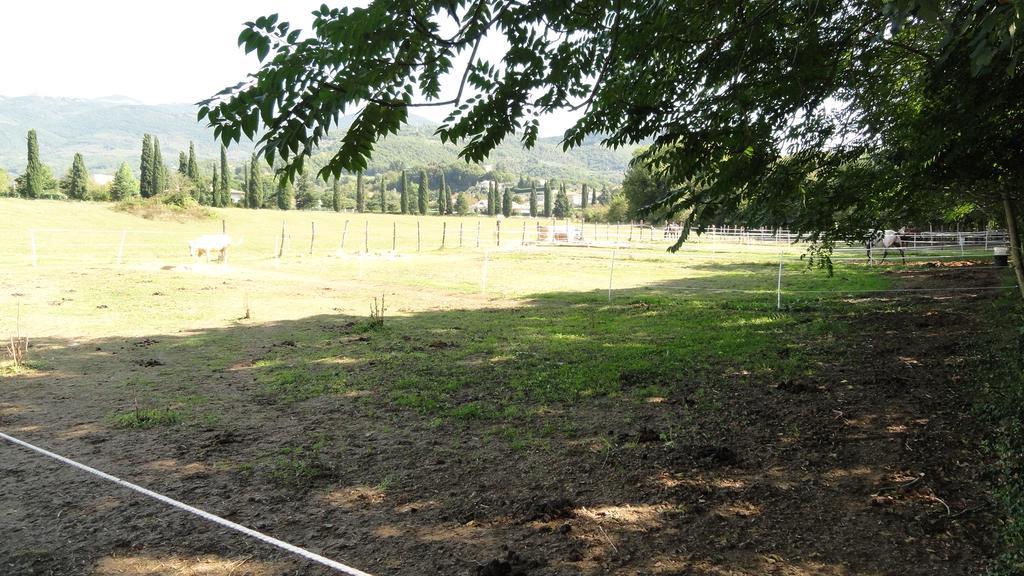 Agriturismo Cardito Santa Rufina 外观 照片