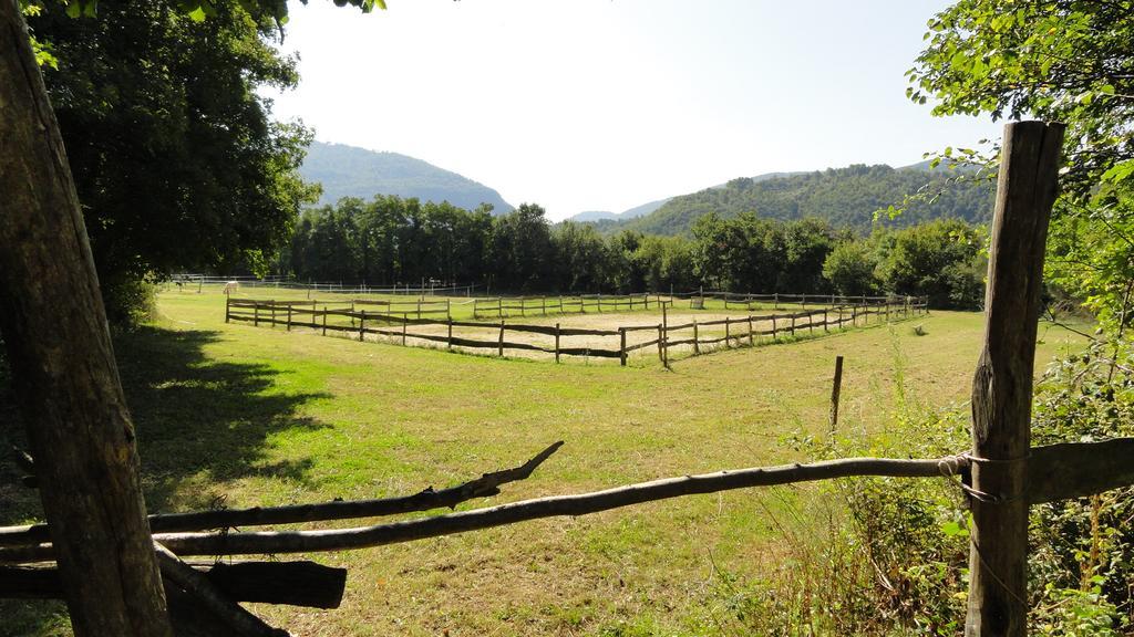 Agriturismo Cardito Santa Rufina 外观 照片