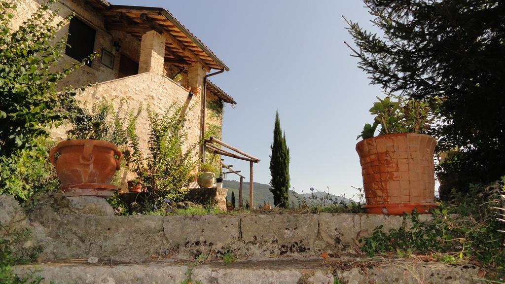 Agriturismo Cardito Santa Rufina 外观 照片