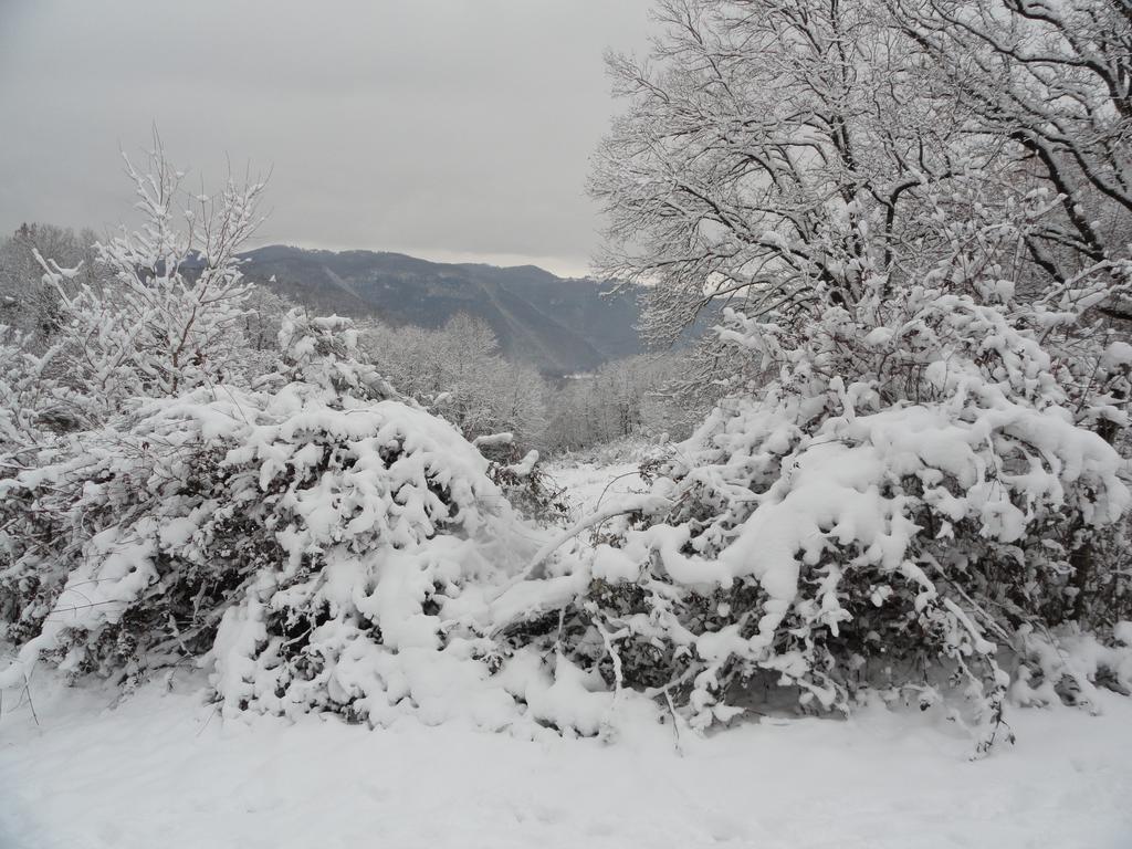 Agriturismo Cardito Santa Rufina 外观 照片