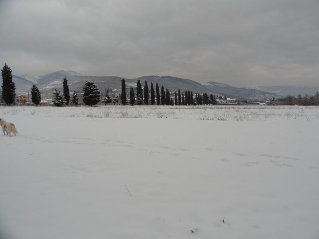 Agriturismo Cardito Santa Rufina 外观 照片
